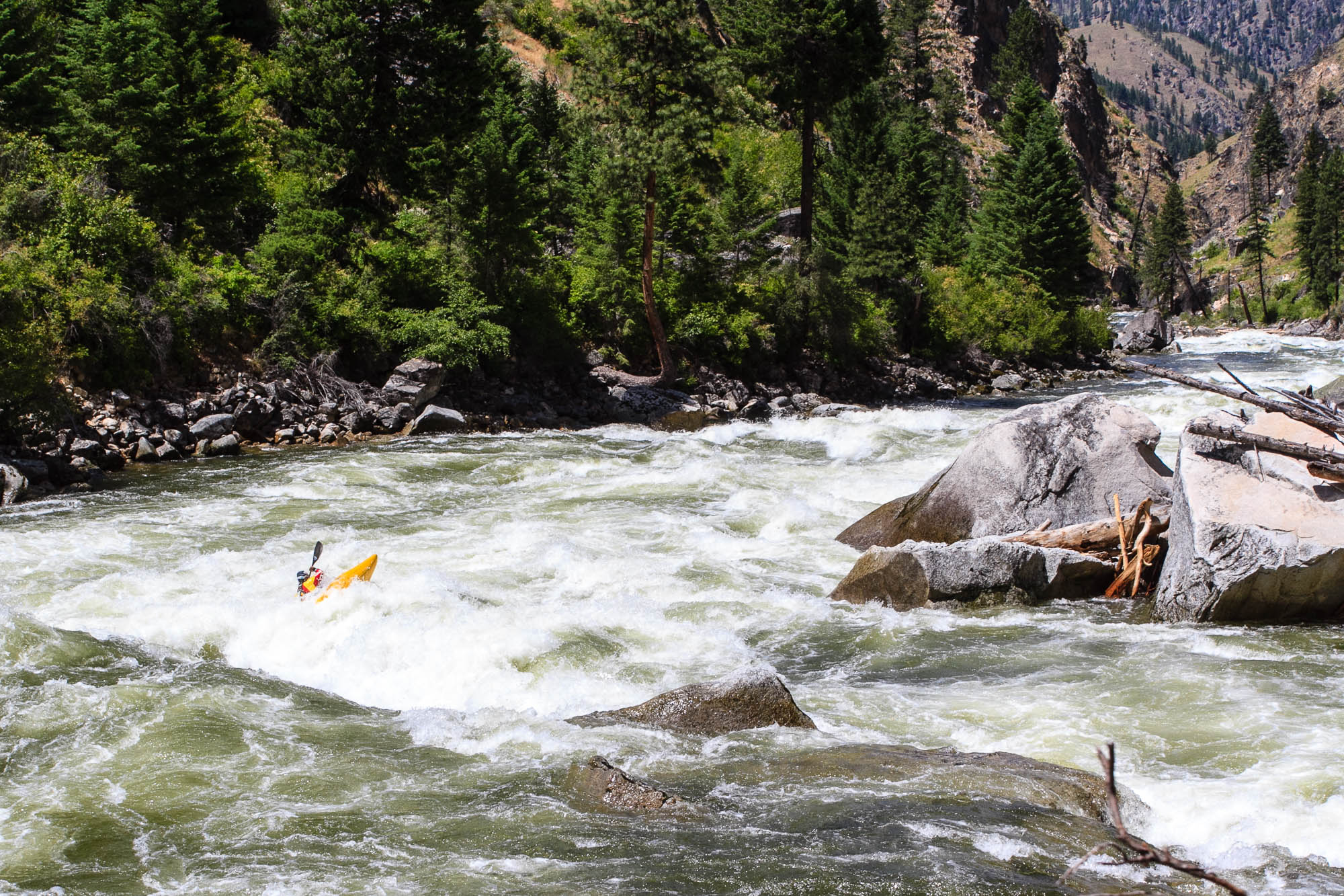 Escape to Idaho's Wild Heart: South Fork Salmon River Campground